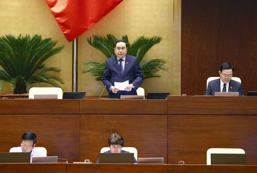 Quy định chặt để tránh đầu cơ trong đấu giá biển số xe