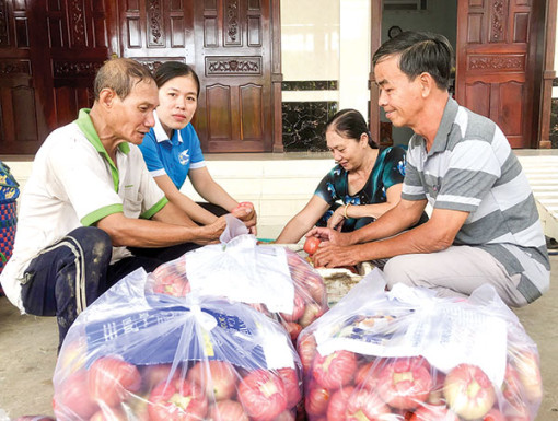 Tích cực hỗ trợ nhân dân nâng cao mức sống