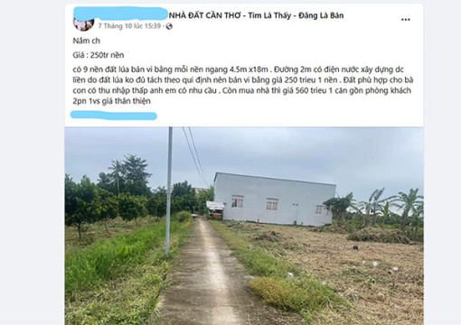 Rủi ro khi mua đất lúa