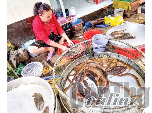 Lươn thịt tăng giá