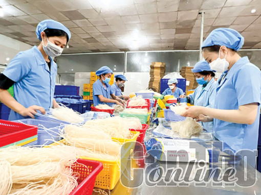 Doanh nghiệp Cần Thơ kỳ vọng bức tranh kinh tế sáng hơn