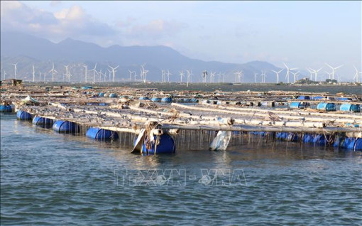 Bài 1: Nhân rộng mô hình kinh tế xanh
