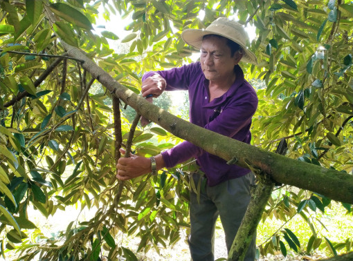 Giúp nông dân yên tâm lao động, sản xuất