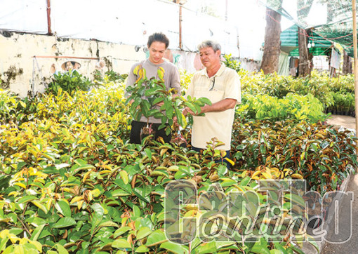 Quảng bá thương hiệu sản phẩm, tìm kiếm khách hàng mới tiềm năng...