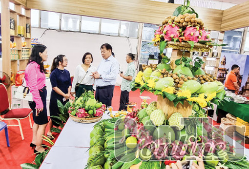 Doanh nghiệp các nước Bắc Âu tìm hiểu cơ hội hợp tác, phát triển giao thương với doanh nghiệp Cần Thơ