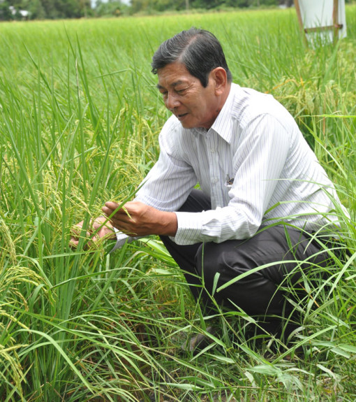 “Nâng cao chất lượng thương hiệu Gạo Ông Cua -
Việt Nam trên thị trường thế giới...”