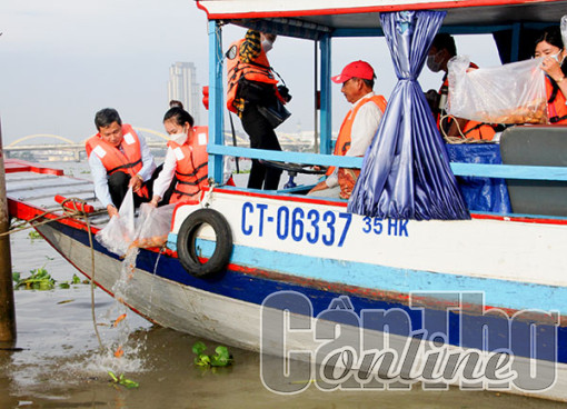 Thả cá bản địa xuống sông Hậu để tái tạo nguồn lợi thủy sản