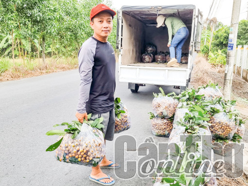 Nhiều dư địa trong phát triển giao thương giữa TP Cần Thơ và thủ đô Hà Nội