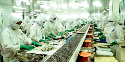 Ngành tôm cần có sách lược kịp thời để duy trì vị thế cạnh tranh