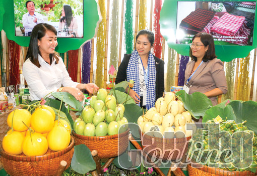 Chủ động nâng chất lượng liên kết, tích hợp để phát triển bền vững