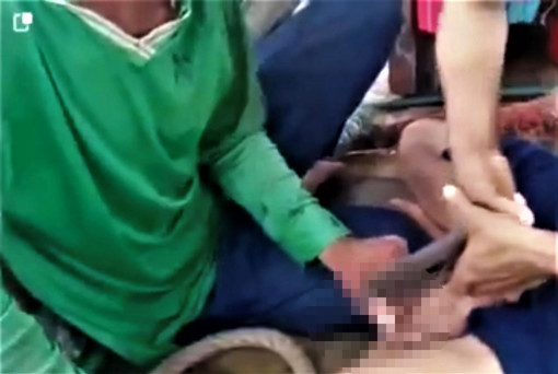 Cà Mau: 3 nghi can trong vụ án hành hạ người khác đã vào bờ phục vụ điều tra