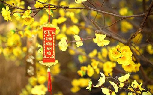 Ý tưởng tặng quà Tết cho đối tác làm ăn nhân dịp năm mới