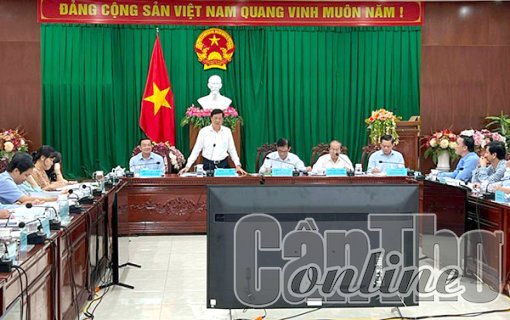 Ban Đô Thị HĐND thành phố thẩm tra các báo cáo, tờ trình trước khi trình tại kỳ họp cuối năm