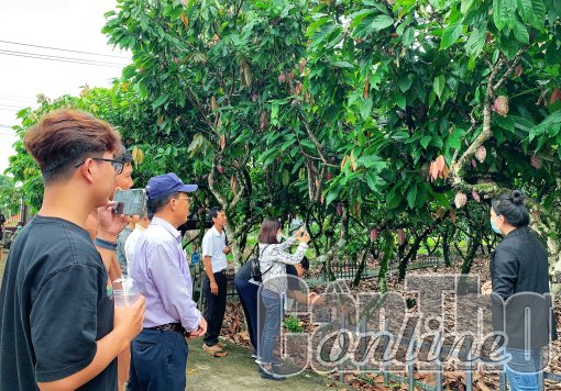 Cần Thơ và Đồng Nai trao đổi kinh nghiệm phát triển du lịch nông nghiệp