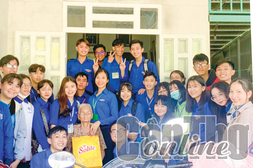 Tình nguyện gắn với chuyên môn