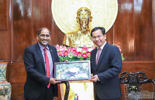 Leaders of Can Tho city received Singaporean Ambassador to Viet Nam