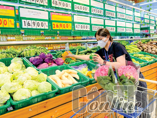 Phát huy lợi thế, tiềm năng thúc đẩy phát triển quận Thốt Nốt