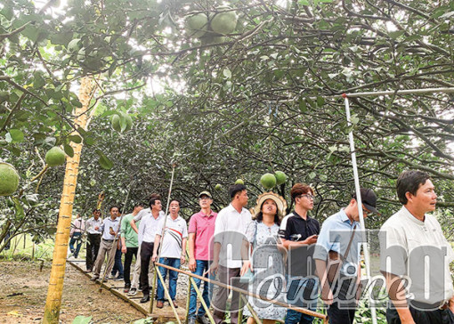 Chia sẻ kinh nghiệm phát triển du lịch nông nghiệp