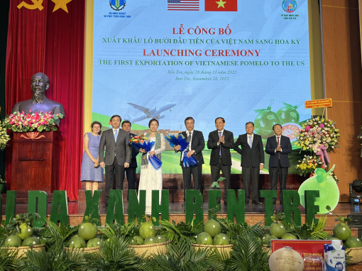Cơ hội mới cho trái bưởi da xanh đi Mỹ