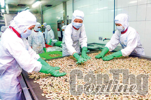 Ngành Thủy sản tìm hướng vượt khó