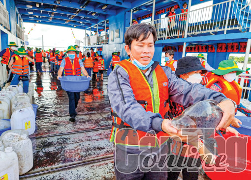 Phát triển đa dạng đối tượng thủy sản nuôi trồng thích ứng với biến đổi khí hậu