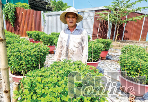 Cần Thơ tích cực chuẩn bị nhiều loại nông sản, thực phẩm phục vụ Tết