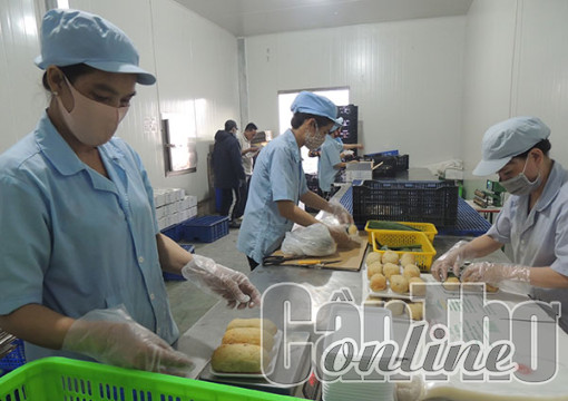 Hỗ trợ doanh nghiệp chuyển đổi để thúc đẩy xuất khẩu