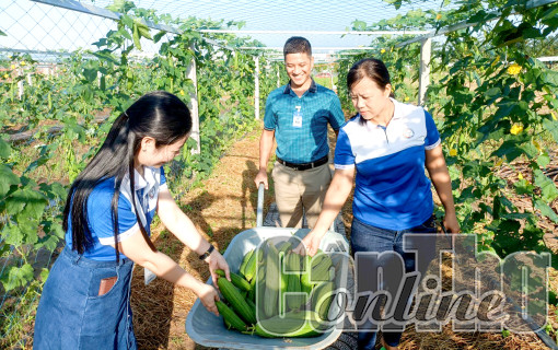 Trường Đại học Y Dược Cần Thơ khánh thành vườn rau sạch gần 5.000m<sup>2</sup>