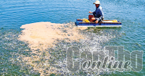 Giải quyết các vấn đề môi trường, phát triển nuôi trồng thủy sản bền vững