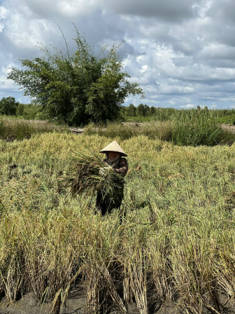 Thị trường sản phẩm hữu cơ - dư địa rất lớn