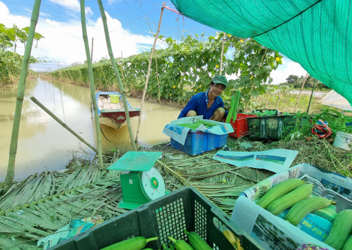 Nhiều loại rau quả tăng giá