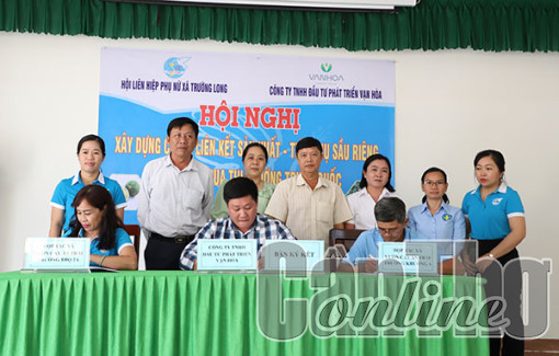 Thúc đẩy liên kết sản xuất và tiêu thụ sầu riêng