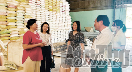 Khơi thông dòng vốn cho ngành hàng nông sản vùng ĐBSCL