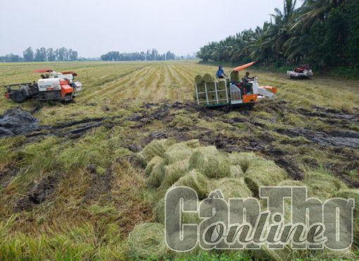Rơm và hành trình mang lại giá trị cao