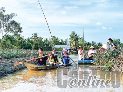 Triển vọng từ liên kết du lịch đường sông Hậu Giang - Cần Thơ