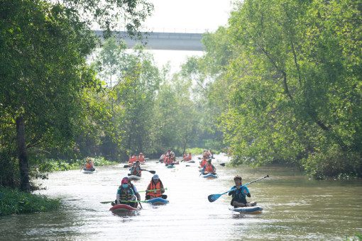 Chương trình chèo sup trên sông Hậu đánh dấu 300.000 ca xóa cận