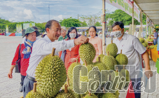 Phong Điền đẩy mạnh đổi mới sáng tạo, ứng dụng khoa học, công nghệ