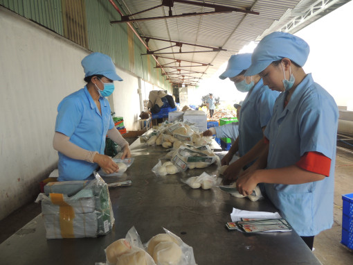 Nhận diện đúng, trúng các thách thức đối với nền kinh tế để chủ động kịch bản, giải pháp ứng phó