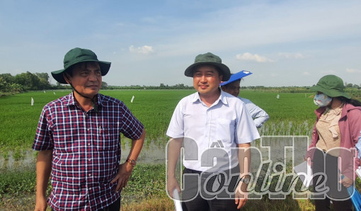 Khảo sát tình hình trật tự, an toàn giao thông tại các nút giao thông ở huyện Thới Lai