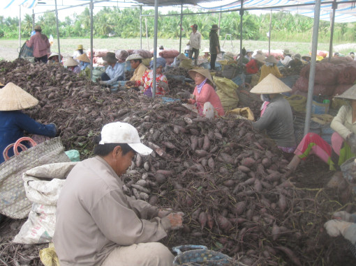 vừa mừng, vừa lo