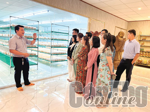 Hợp tác xã mở hướng kinh doanh mới