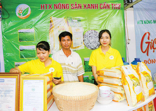 Thúc đẩy phát triển hợp tác xã, gắn với quy hoạch vùng sản xuất