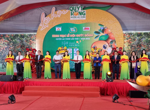 Khai mạc lễ hội quýt hồng