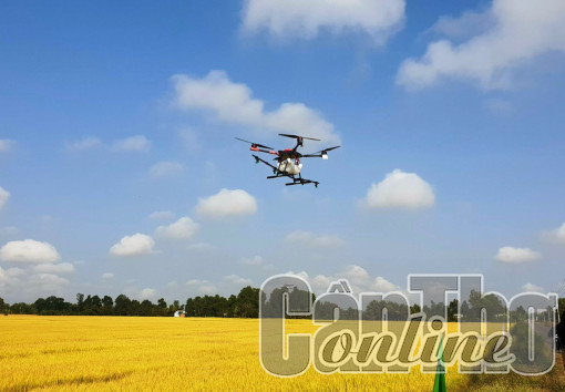 Xây dựng chuỗi nông nghiệp thông minh từ nông trại đến bàn ăn