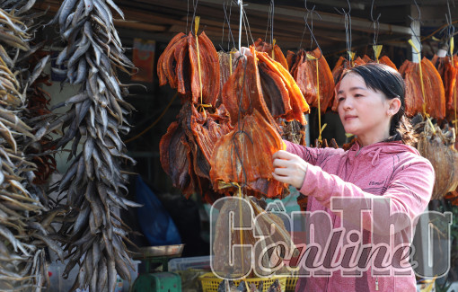 Rộn ràng mùa Tết