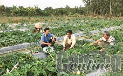 Hợp tác tạo việc làm, tăng thu nhập  