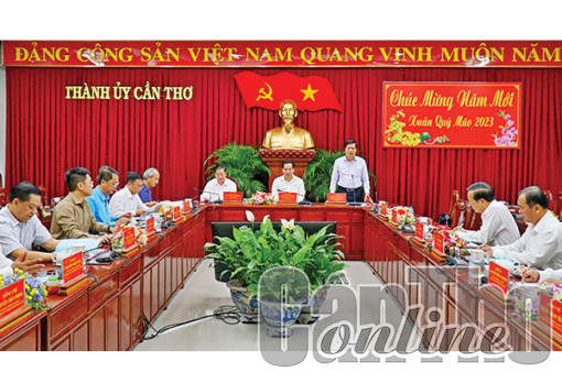 Quyết tâm chỉ đạo thực hiện có hiệu quả các nghị quyết của Trung ương về xây dựng và phát triển TP Cần Thơ trong giai đoạn mới