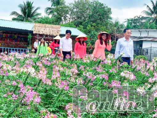 Khảo sát các điểm du lịch Cần Thơ