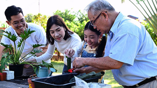 Làm vườn giúp cải thiện sức khỏe