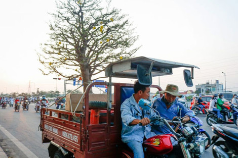 Thuê xe ba gác và những lưu ý quan trọng mà bạn nên biết